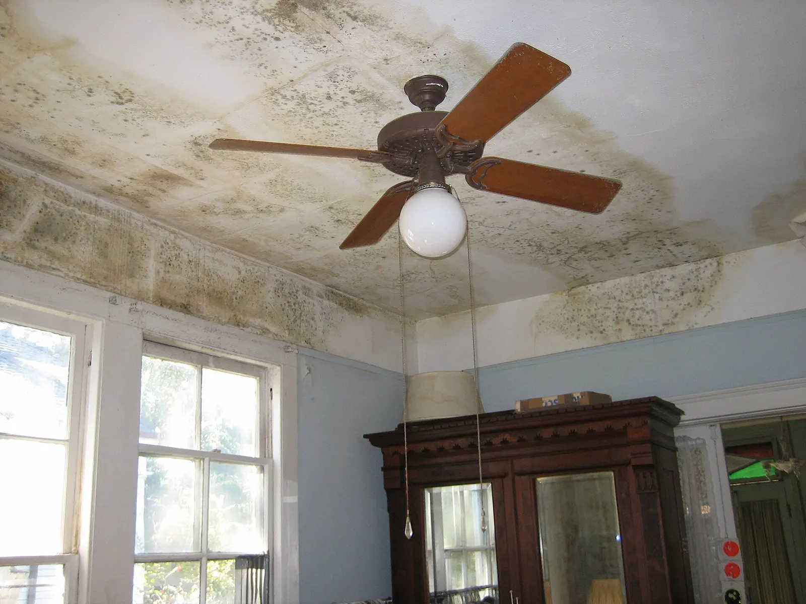 Mold across a ceiling around a ceiling fan. Shown on the Bath moisture page for Murfreesboro, TN.