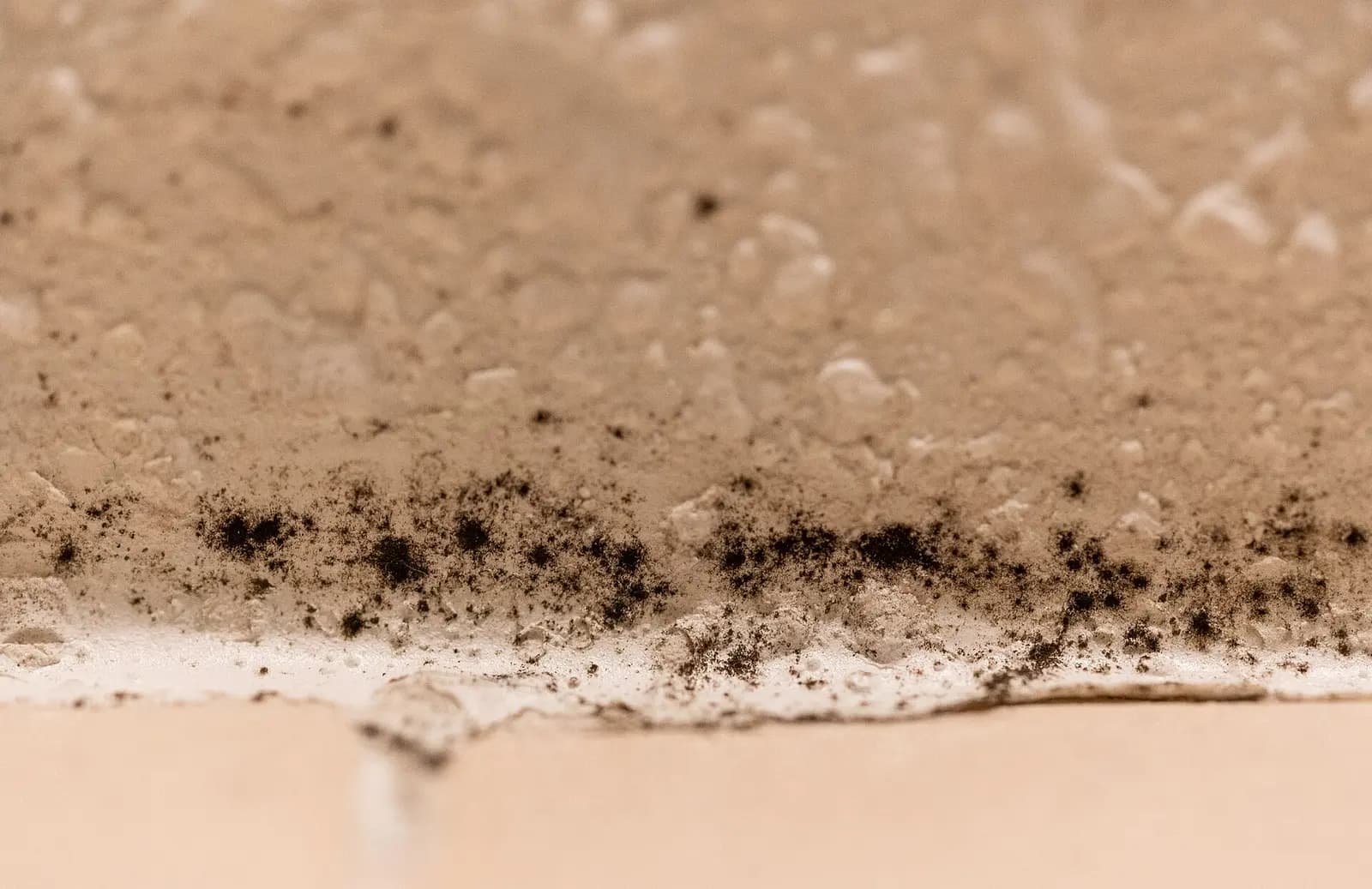 Black mold along a caulk and grout line. Shown on the homepage for Murfreesboro, TN.