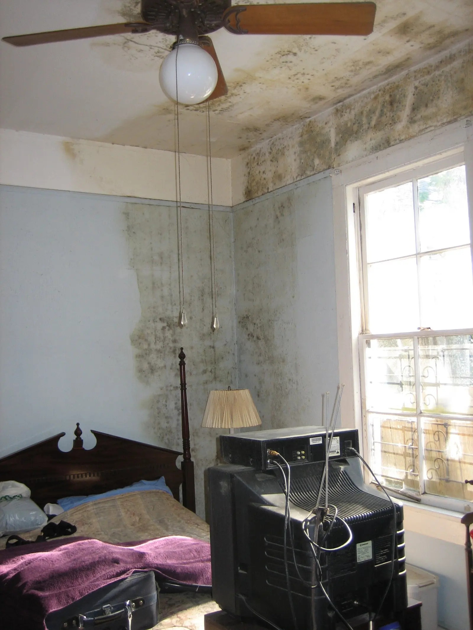 Mold on a bedroom wall and ceiling after water damage. Shown on the Crawl check page for Murfreesboro, TN.